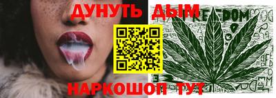 сатива Краснознаменск