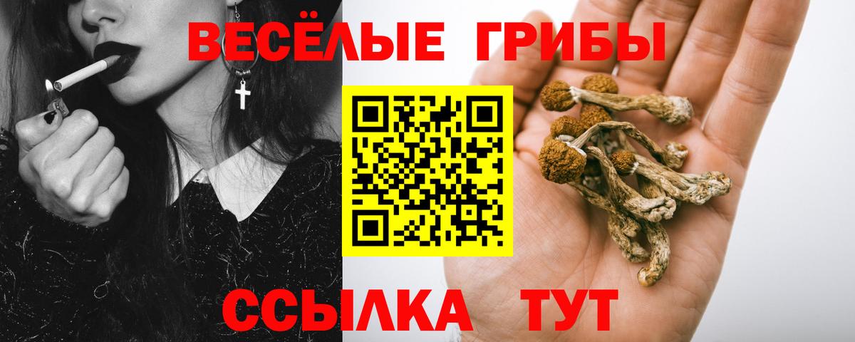 Галлюциногенные грибы прущие грибы Ялуторовск